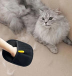 Remove Pet Hair from Sofa & Clothes in Seconds — No Mess, No Tape!